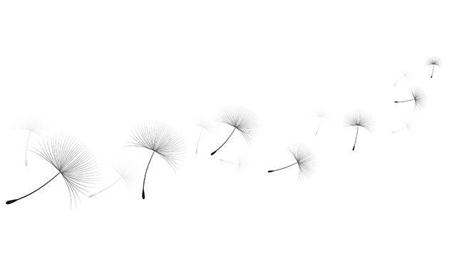 Floating dandelion seeds drifting in the wind on a light, pale background, symbolizing nature, freedom, and growth. Perfect for themes related to mindfulness, tranquility, and natural beauty.