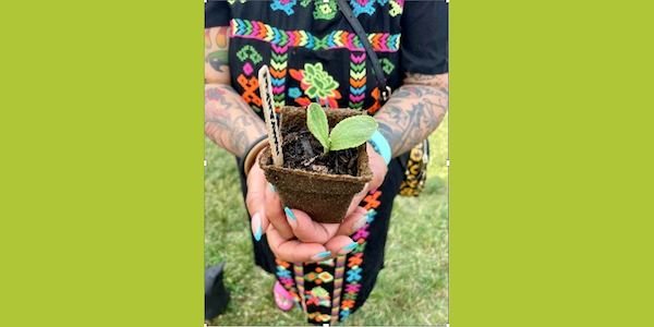 Quaker Fund for Indigenous Communities supports the work of Native Roots Farm Foundation